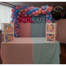 Gender Reveal Balloon Arch 