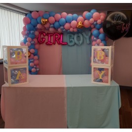 Gender Reveal Balloon Arch 