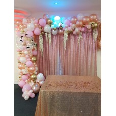 Light Colours Balloon Arch 